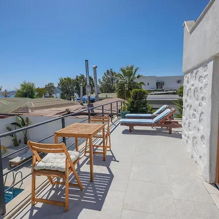 Traditional Seaside Stone With Private Pool Villa Bodrum